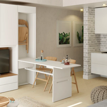 Fold Away Desk Unit